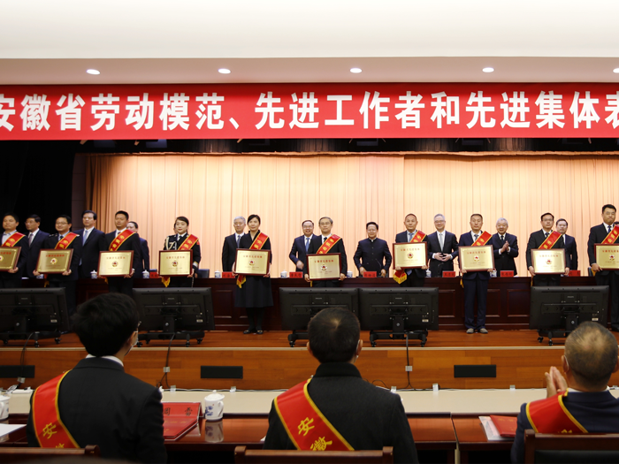 Plasma won the honorary title of "Anhui Province Advanced Collective" in 2022